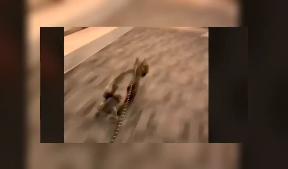 Mira la secuencia deslizando la imagen. Foto: kxam1 / TikTok Mira la secuencia deslizando la imagen. Foto: kxam1 / TikTok