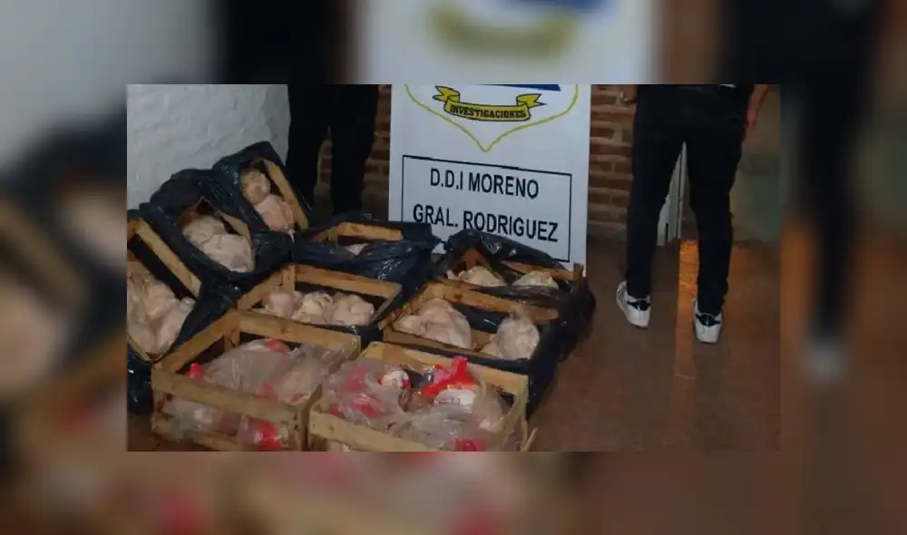 Policías recuperan 100 pollos congelados que fueron robados por una banda criminal. Foto: Crónica Policías recuperan 100 pollos congelados que fueron robados por una banda criminal. Foto: Crónica