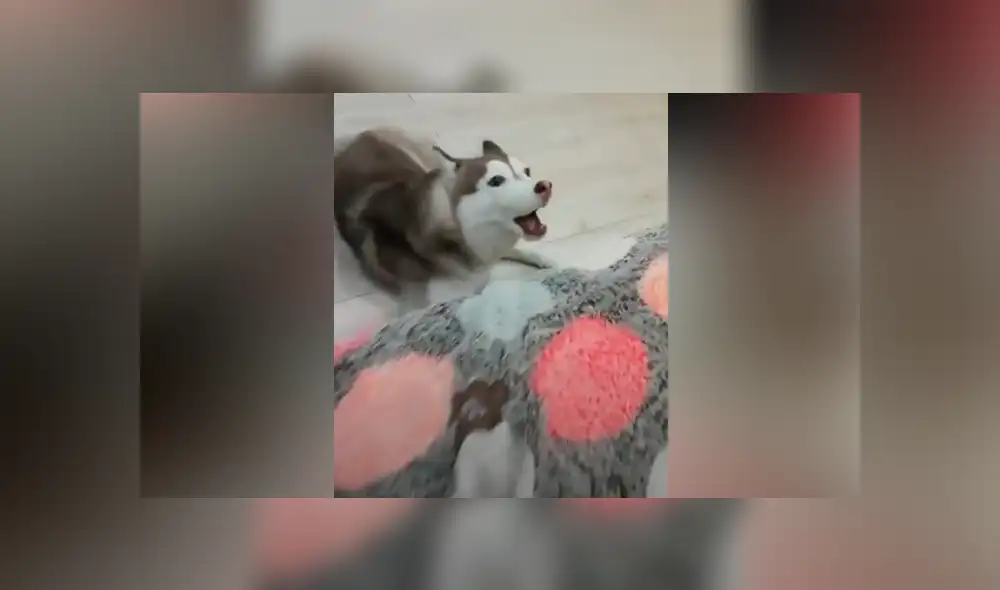 Desliza hacia la izquierda para ver las imágenes del viral de Facebook. Desliza hacia la izquierda para ver las imágenes del viral de Facebook.