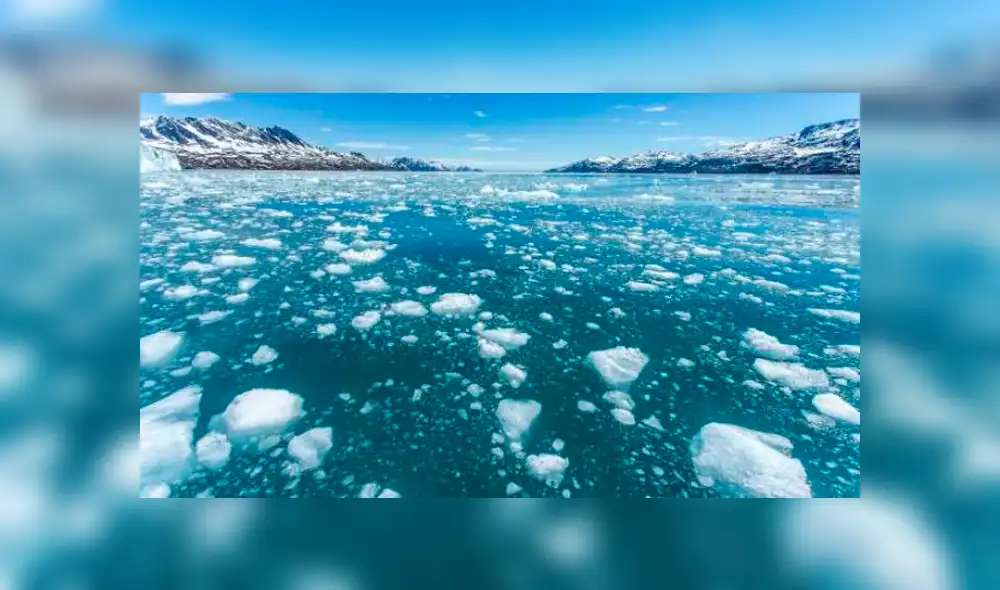 Deshielo por el cambio climático está transmitiendo un virus mortal entre las aguas del Atlántico y el Pacífico Deshielo por el cambio climático está transmitiendo un virus mortal entre las aguas del Atlántico y el Pacífico