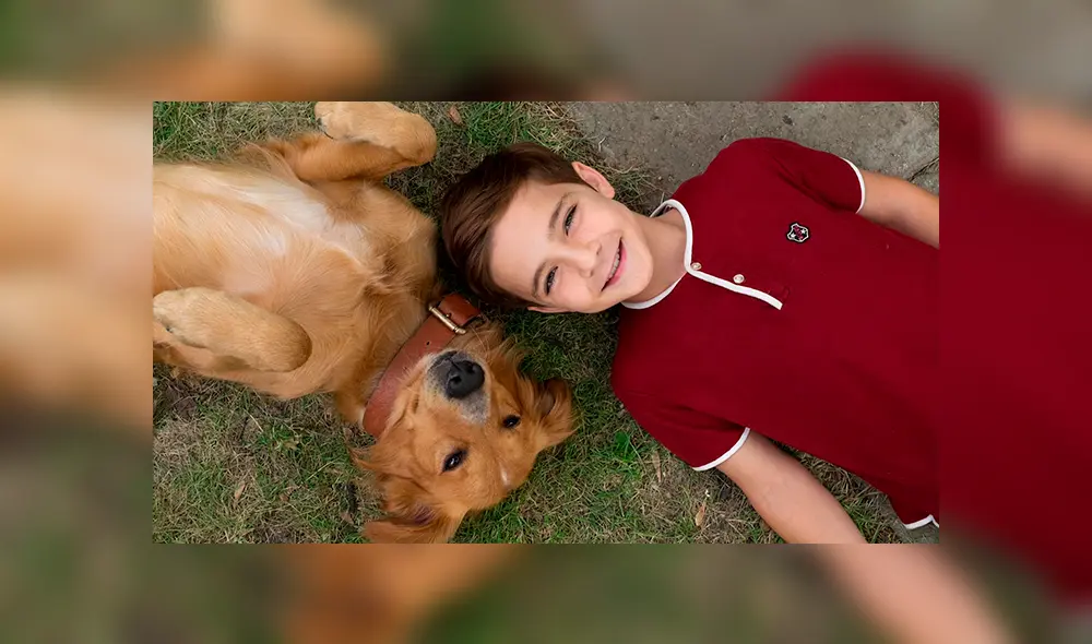 El perro es considerado como el amigo más fiel del ser humano. Créditos: wpmisc El perro es considerado como el amigo más fiel del ser humano. Créditos: wpmisc
