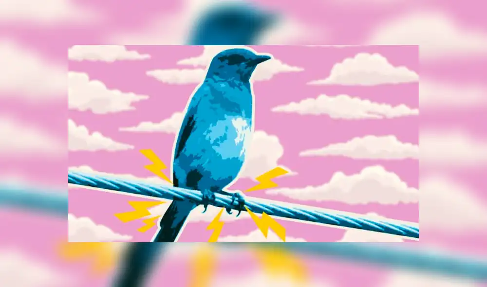 YouTube: ¿Por qué los pájaros no mueren al posarse sobre cables eléctricos? Descubre la respuesta [VIDEO] 