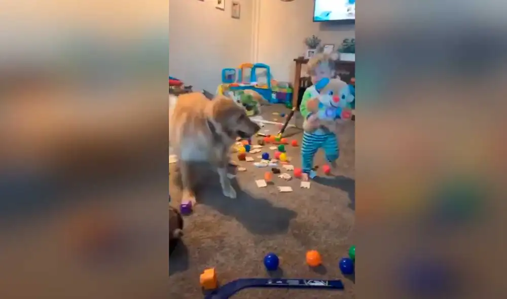 Desliza las imágenes para ver la curiosa escena que registró una madre entre su hijo y su fiel mascota. Foto: Captura de YouTube/ Storyful Rights Management Desliza las imágenes para ver la curiosa escena que registró una madre entre su hijo y su fiel mascota. Foto: Captura de YouTube/ Storyful Rights Management