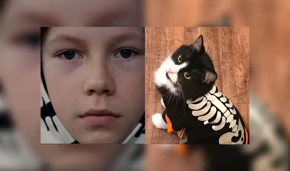 Así se verían los personajes de Dark si fueran gatitos. (Foto: Captura - Twitter: @NetflixLAT)