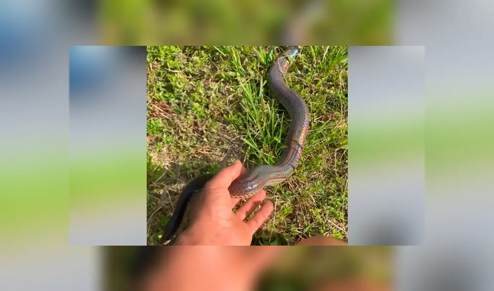 Desliza hacia la izquierda para ver lo que sucedió con el joven en el video viral de Facebook.