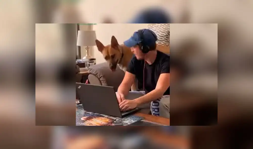 Desliza las imágenes para ver la peculiar escena que protagonizó un perro para evitar que su dueño haga teletrabajo. Foto: RM Videos