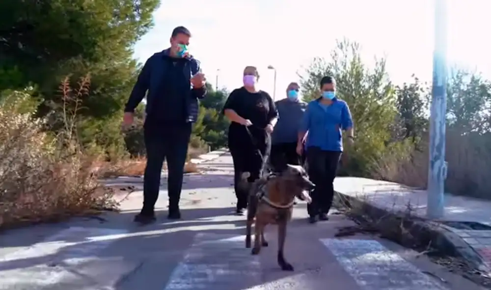 Desliza hacia la izquierda para ver las tiernas imágenes de Nina, la afortunada perrita que fue adoptada por una familia. Foto: captura de YouTube Desliza hacia la izquierda para ver las tiernas imágenes de Nina, la afortunada perrita que fue adoptada por una familia. Foto: captura de YouTube
