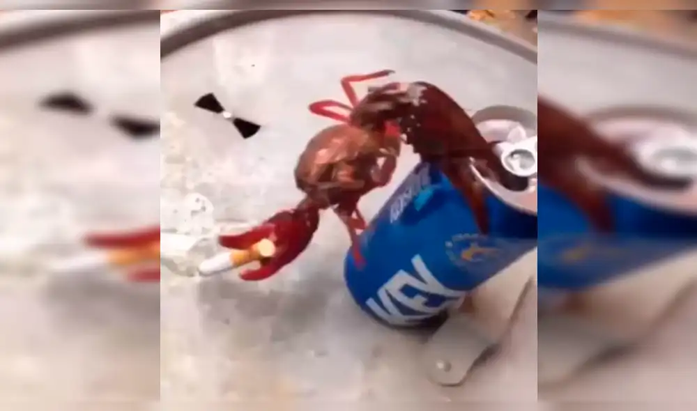 Facebook Viral: Miles están indignados por video de cangrejo 'fumando' y tomando alcohol