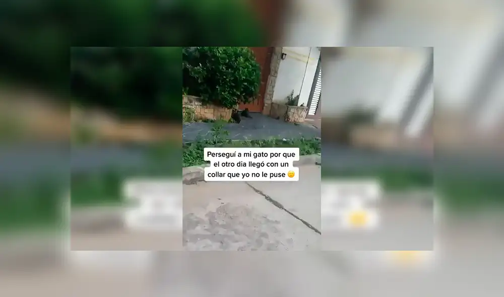 Desliza las imágenes hacia la izquierda para conocer la historia de un travieso gato que tenía una ‘doble vida’. Fotocaptura: Facebook.