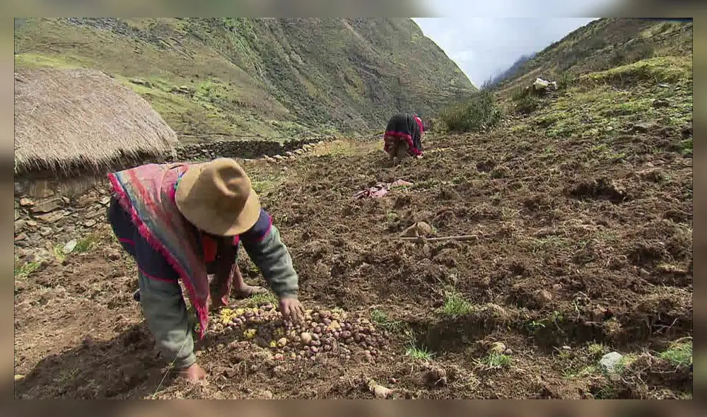 Agricultura Agricultura