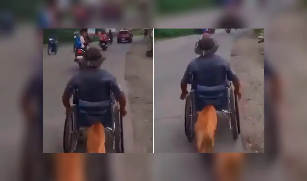 Facebook: perro empuja la silla de ruedas de su dueño y conmueve a todos en las redes [VIDEO]