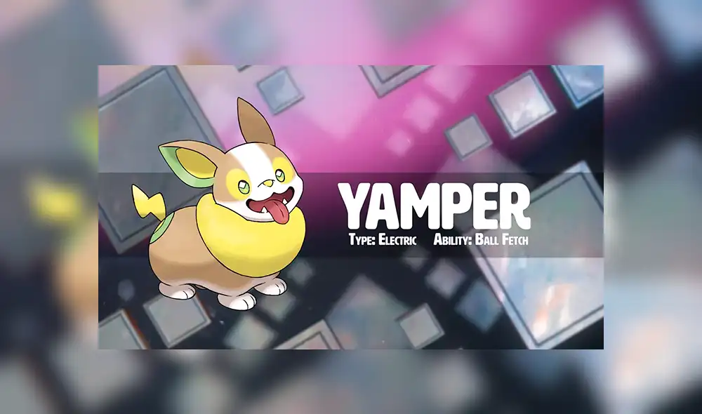 Yamper es el pokémon de tipo eléctrico de la octava generación