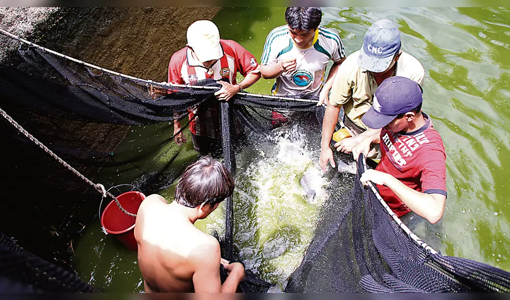 Producción acuícola del país