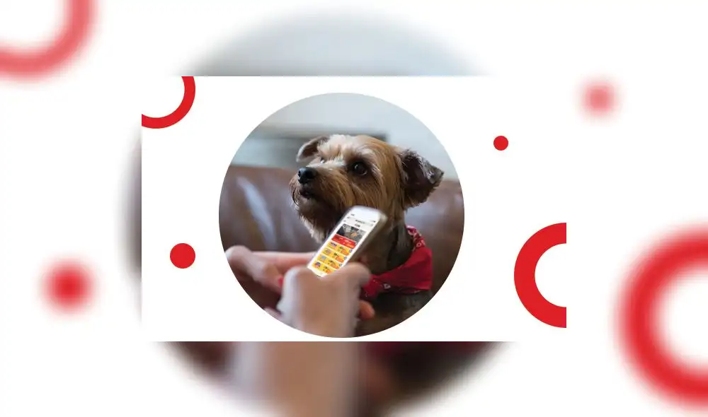 The lotter (Foto:Difusión)