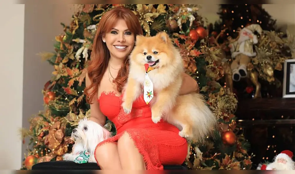 Magaly Medina presenta orgullosa a su hijo Marco en fiestas navideñas Magaly Medina presenta orgullosa a su hijo Marco en fiestas navideñas