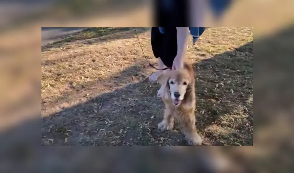 Desliza hacia la izquierda para ver más del video viral. Fotocaptura: YouTube