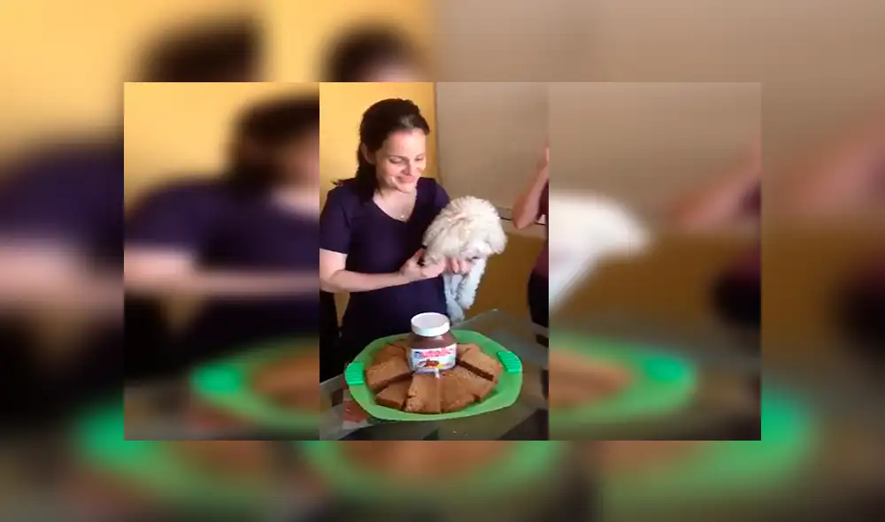 En Facebook, los miembros de una familia decidieron celebrar el cumpleaños de su mascota con una curiosa fiesta. En Facebook, los miembros de una familia decidieron celebrar el cumpleaños de su mascota con una curiosa fiesta.