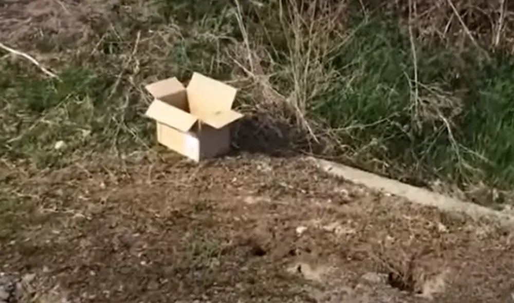 Desliza hacia la izquierda para ver las imágenes de video viral. Foto: Captura de YouTube. Desliza hacia la izquierda para ver las imágenes de video viral. Foto: Captura de YouTube.