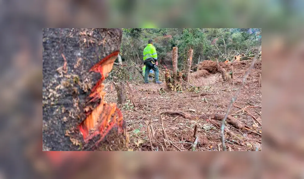 Nueve personas quedaron detenidas y serán puestas a disposición de las autoridades. Nueve personas quedaron detenidas y serán puestas a disposición de las autoridades.