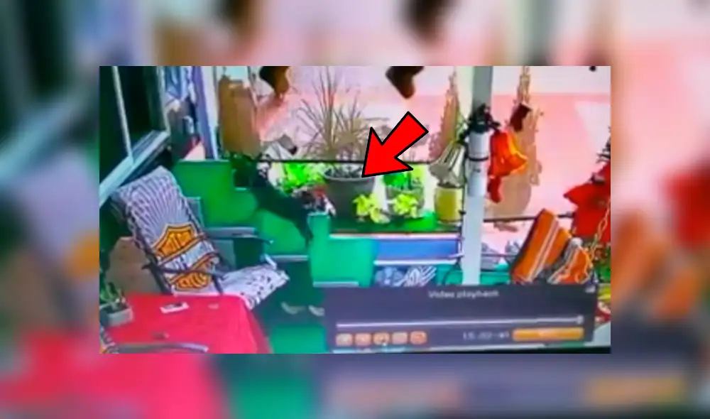 Facebook viral: coloca cámara de seguridad y descubre lo que hace su perro cuando él no está en casa Facebook viral: coloca cámara de seguridad y descubre lo que hace su perro cuando él no está en casa