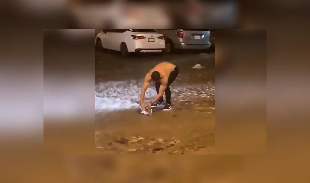 Desliza las imágenes para conocer el valiente gesto de un joven al ayudar a una zarigüeya que terminó tirada en la calle. Fotocaptura: Facebook. Desliza las imágenes para conocer el valiente gesto de un joven al ayudar a una zarigüeya que terminó tirada en la calle. Fotocaptura: Facebook.