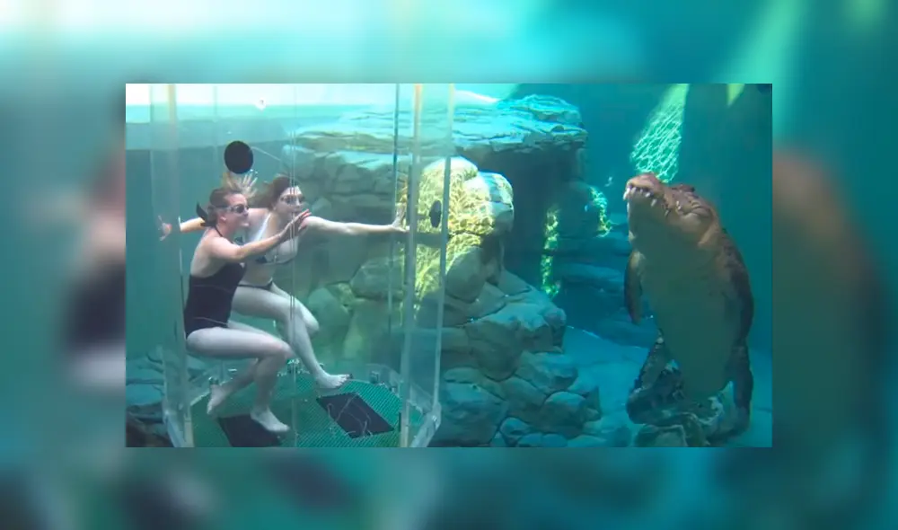 YouTube viral: chicas se sumergen en santuario de enorme cocodrilo y quedan horrorizadas 