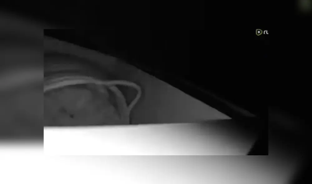 Desliza las fotografías para ver el momento exacto en que un fuerte temblor despertó a un bebé en plena madrugada. Foto: Captura/Facebook