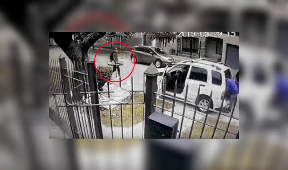 YouTube viral: Perros ven que su dueño es asaltado con pistola y lo rescatan valerosamente [VIDEO] 