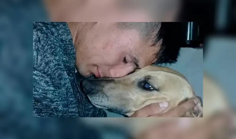 Joven ofrece su carro como recompensa para recuperar a su perro: “Él vale mucho más” [FOTOS]