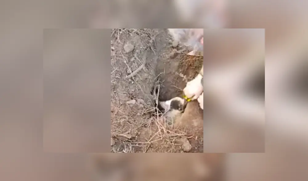 Desliza hacia la izquierda para ver las imágenes del video viral de YouTube.