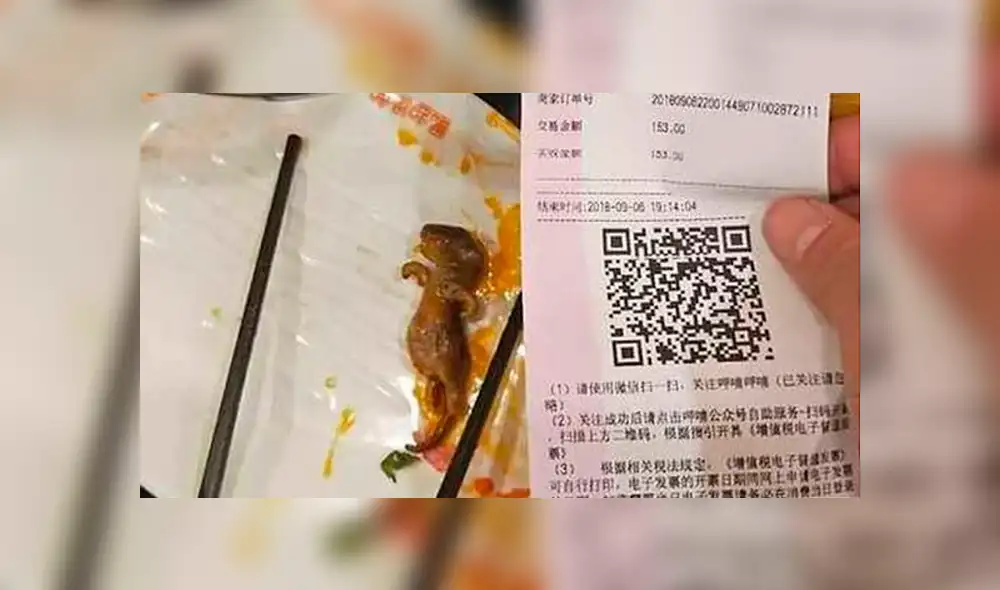 Mujer embarazada encontró una rata en su sopa y restaurante pagó multa de $190 millones