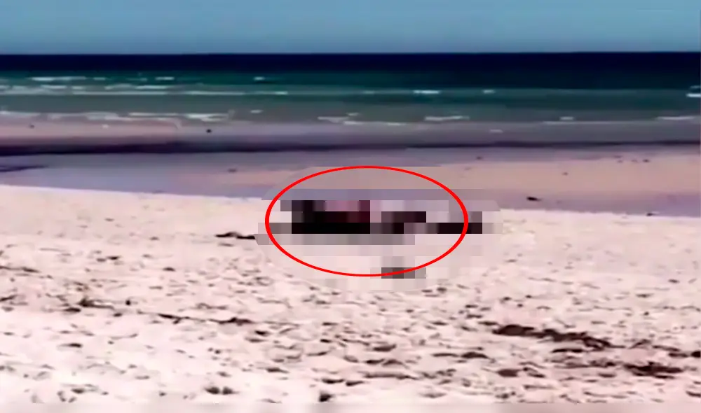 En YouTube, pareja es captada teniendo sexo en plena playa En YouTube, pareja es captada teniendo sexo en plena playa