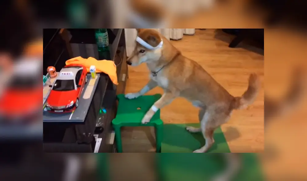 Dueña del can dejó su laptop prendida y cuando regresó se encontró con una graciosa escena de su perro que no dudó en grabar para compartirla en Facebook y YouTube Dueña del can dejó su laptop prendida y cuando regresó se encontró con una graciosa escena de su perro que no dudó en grabar para compartirla en Facebook y YouTube