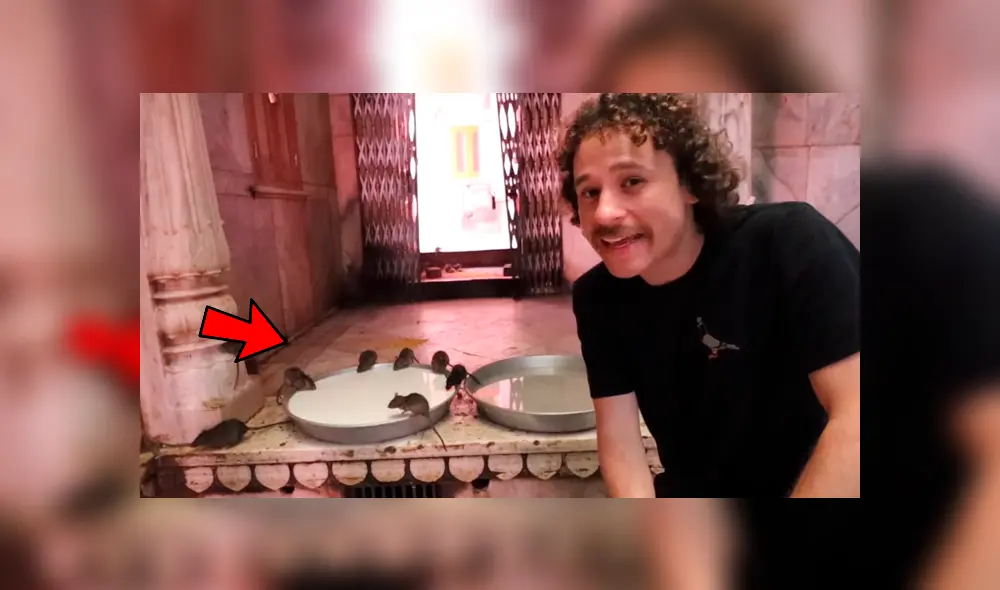 YouTube: ¿Conoces el 'Templo de las ratas' de la India? Aquí la sorprendente historia de este santuario