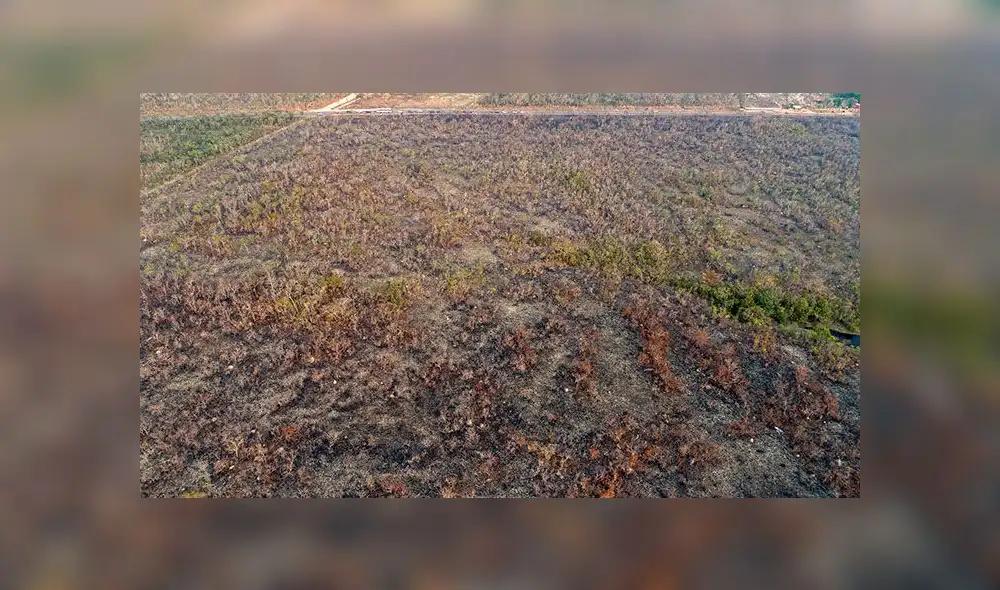 Así se extiende el fuego en la amazonía de Brasil [FOTOS - VIDEO]