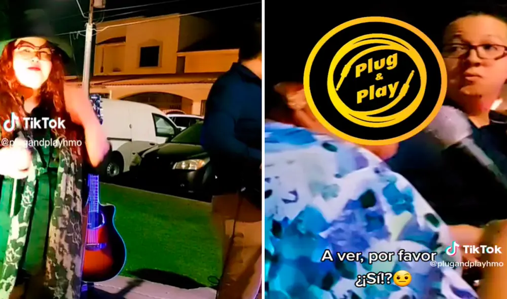 El clip ha superado el millón de reproducciones en redes sociales. Foto: composición LR/captura de TikTok/@Plugandplayhmo