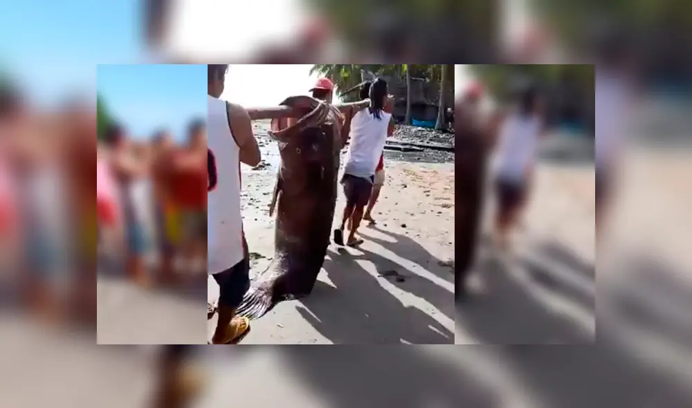 Desliza para ver los detalles del video viral de YouTube. Foto: Captura. Desliza para ver los detalles del video viral de YouTube. Foto: Captura.