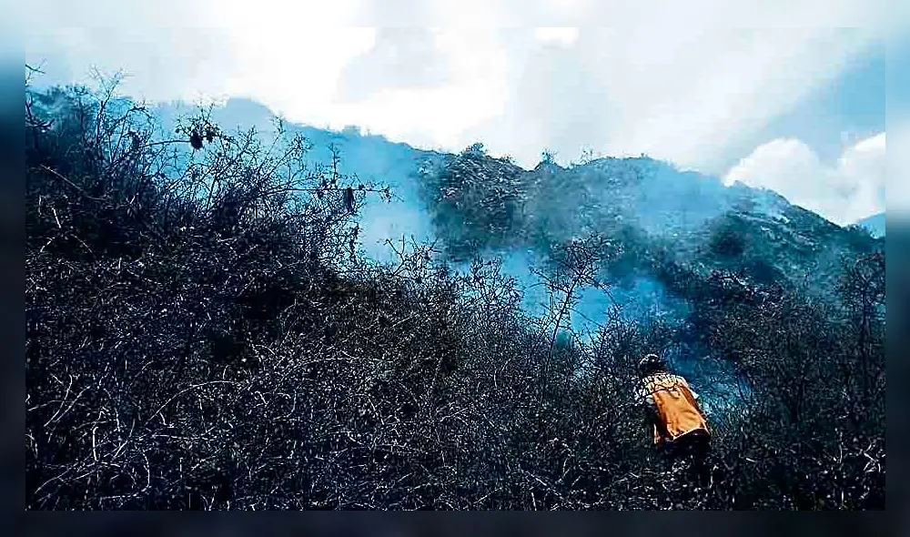 Veinte hectáreas afectadas. Veinte hectáreas afectadas.