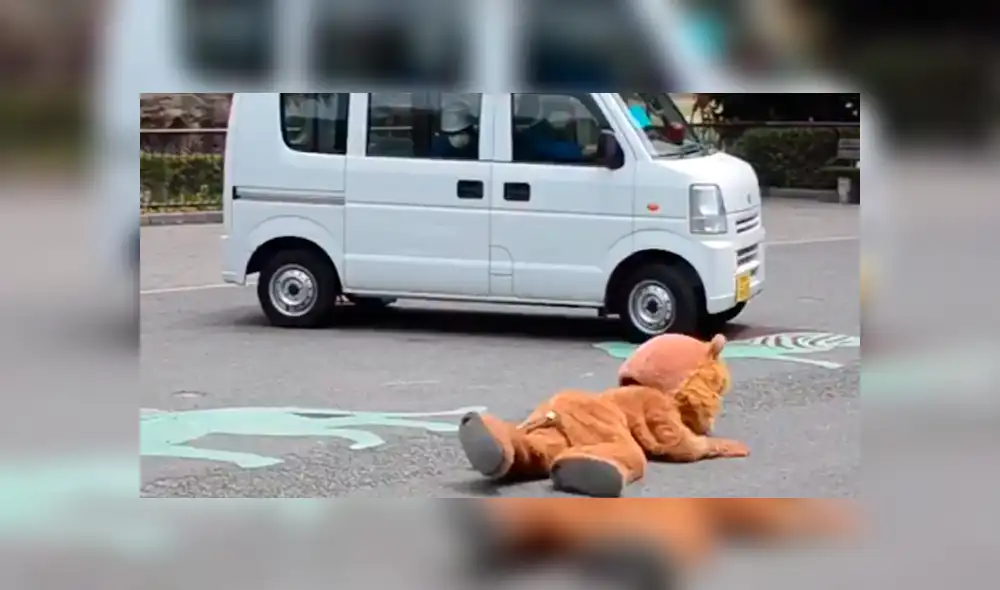 Trabajador de un zoológico ingresó al santuario de leones. Trabajador de un zoológico ingresó al santuario de leones.