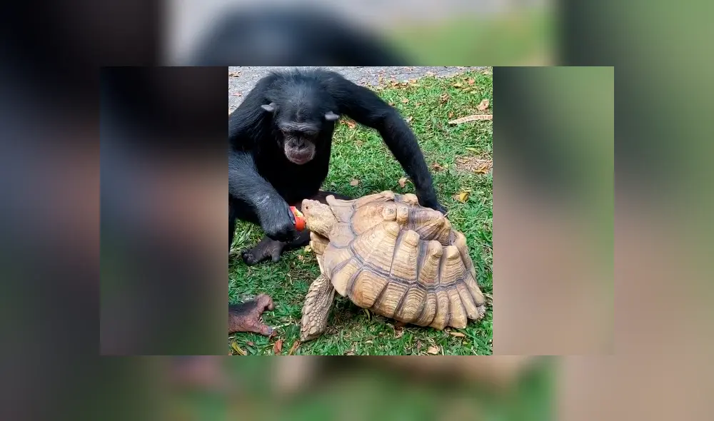 Desliza para ver todas las imágenes de TikTok.