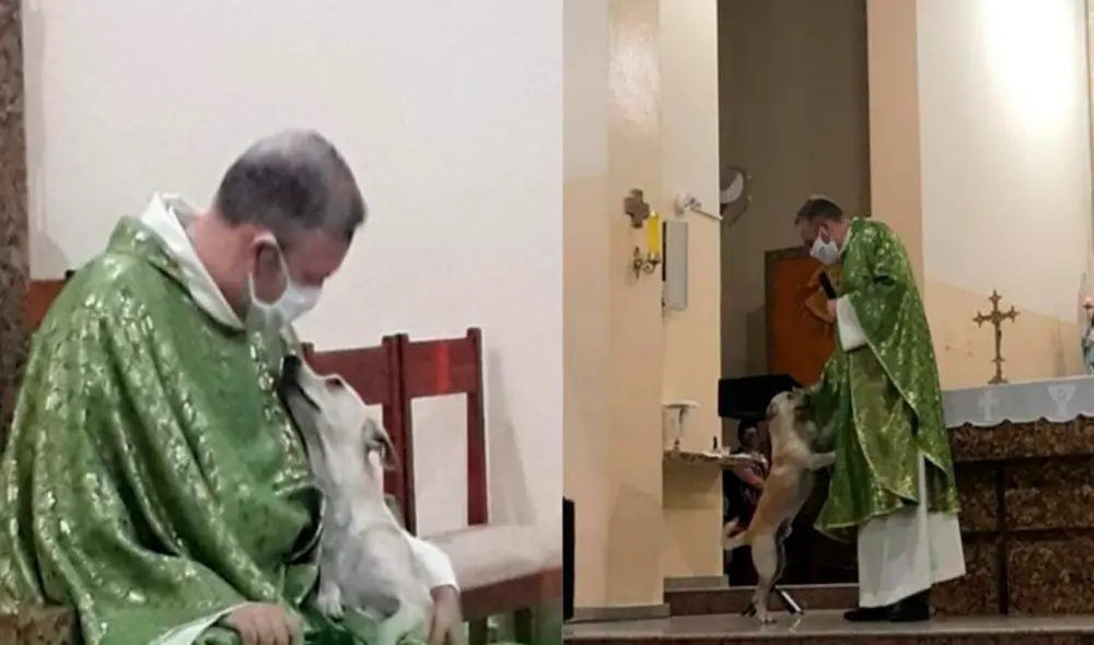 Desliza las imágenes para ver la destacada labor del sacerdote con perritos de la calle. Foto: Facebook