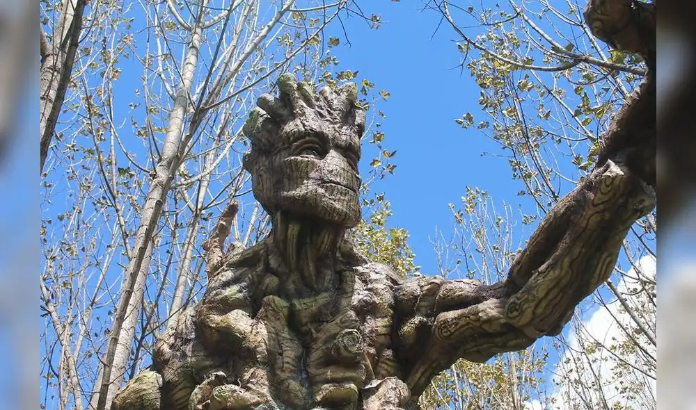 Esculturas de Groot en Cusco impresionaron a director de Guardianes de la Galaxia Esculturas de Groot en Cusco impresionaron a director de Guardianes de la Galaxia