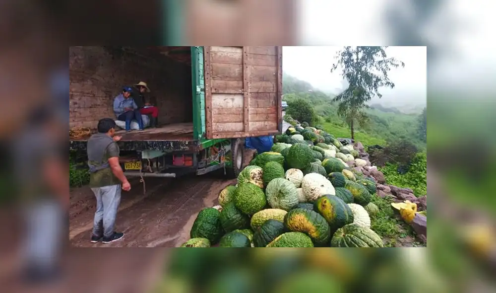 En los próximos días ingresará a los mercados de Arequipa 6 toneladas de zapallo.