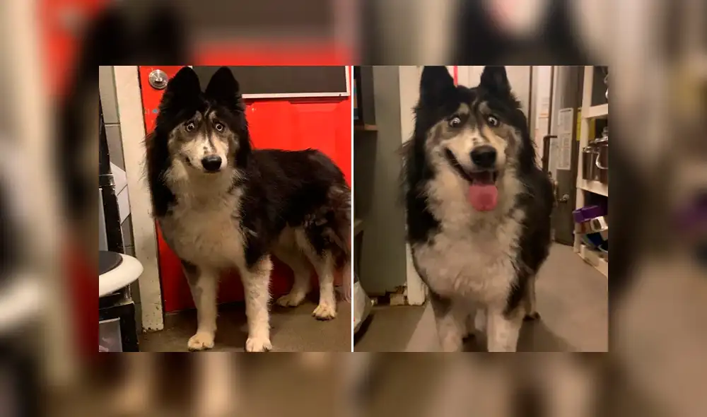 Desliza para ver las imágenes más tiernas de la historia viral de Facebook. Desliza para ver las imágenes más tiernas de la historia viral de Facebook.