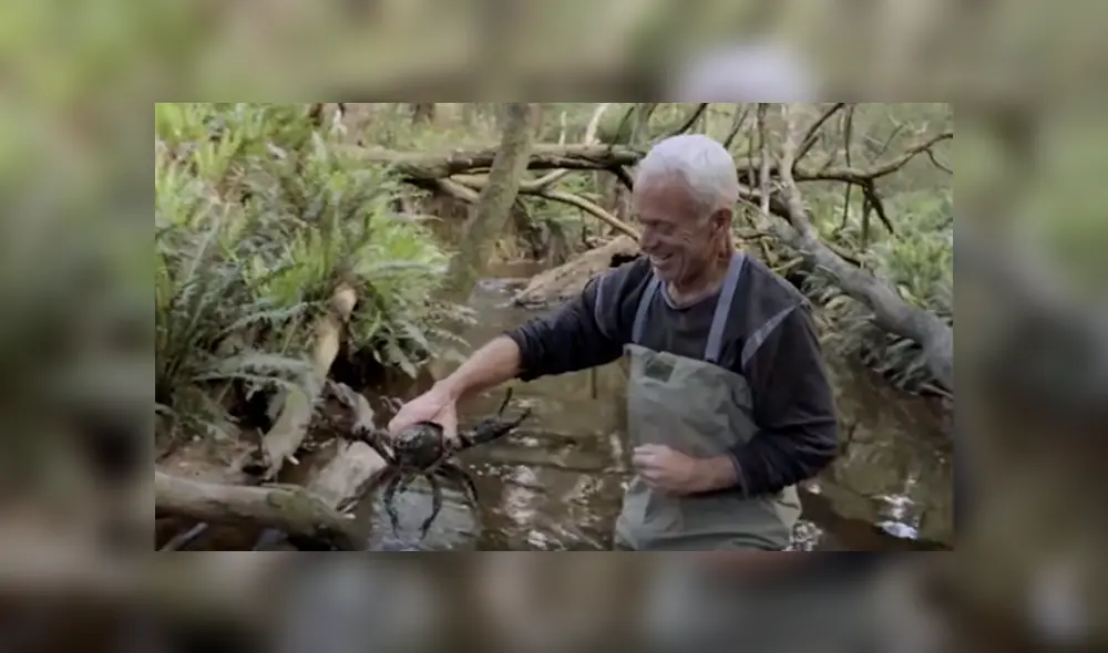 Desliza hacia la izquierda para ver a los animales que un pescador encontró y se volvió viral en YouTube.