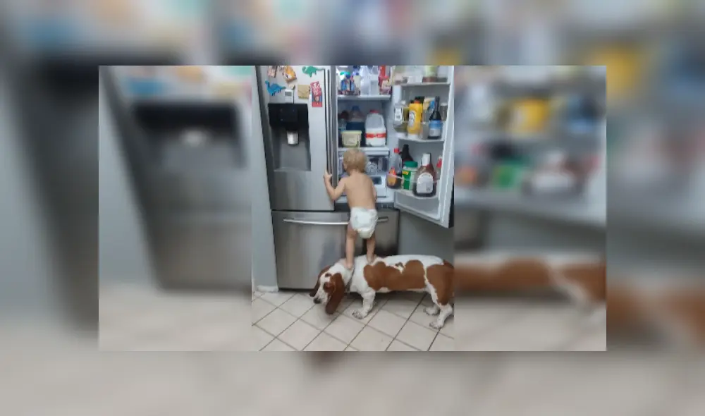 Desliza las imágenes para ver más detalles de esta escena que se volvió viral en Facebook.