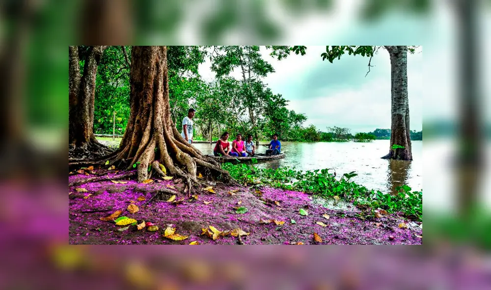 Selva Peruana: ¿Cuáles son los lugares turísticos obligados para todo amante de la aventura? Selva Peruana: ¿Cuáles son los lugares turísticos obligados para todo amante de la aventura?