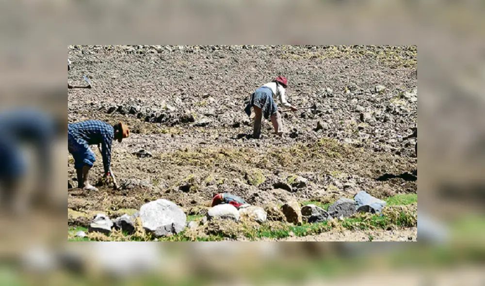 Pleno Agrario no tiene en agenda ampliación de beneficios laborales