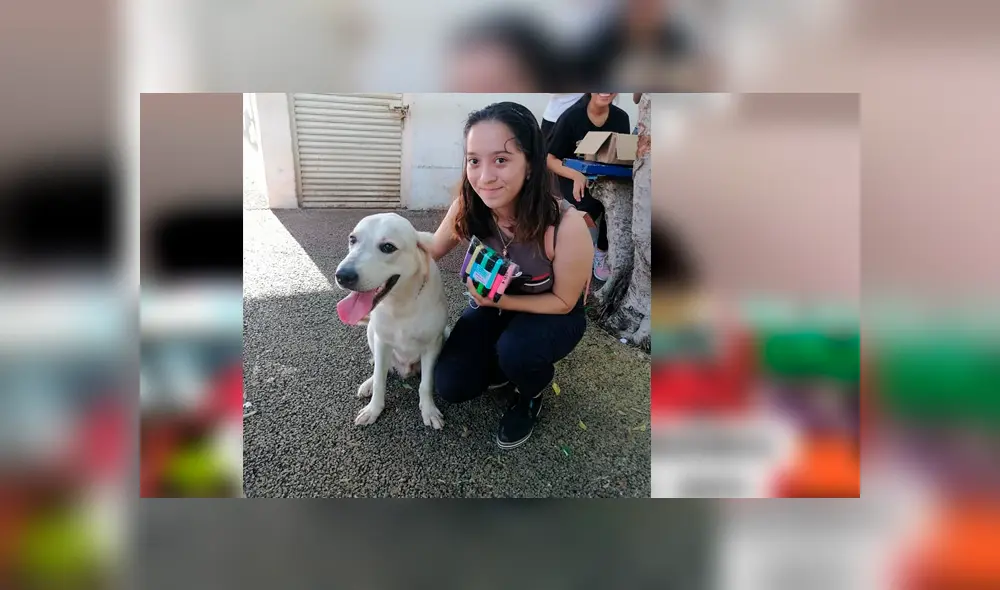 El can tiene una página de Facebook en la que vende plumones de colores para recaudar fondos y poder pagar su tratamiento El can tiene una página de Facebook en la que vende plumones de colores para recaudar fondos y poder pagar su tratamiento