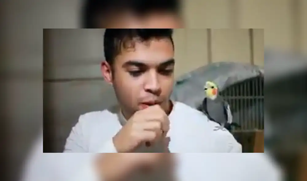 Video es viral en Facebook. El joven practicaba ‘beatbox’ en compañía de su loro, sin imaginar que el ave aprendería los sonidos y comenzaría a imitarlo. Foto: Captura. Video es viral en Facebook. El joven practicaba ‘beatbox’ en compañía de su loro, sin imaginar que el ave aprendería los sonidos y comenzaría a imitarlo. Foto: Captura.